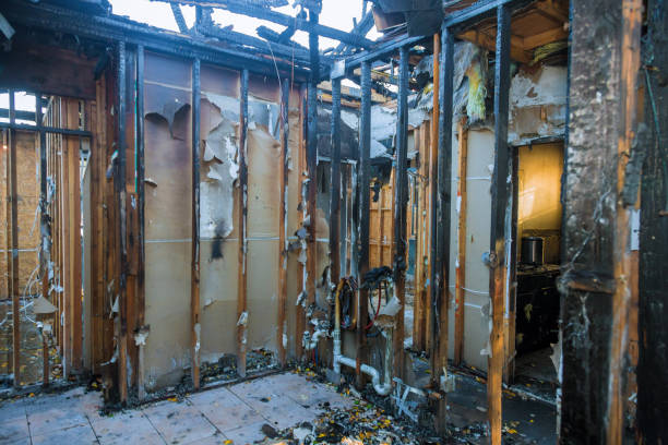 Professional Fire Damage Removal technician working in Bisbee, AZ